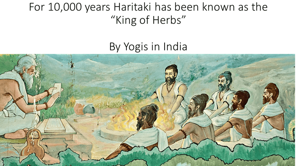 Yogis have consumed haritaki for its third eye benefits