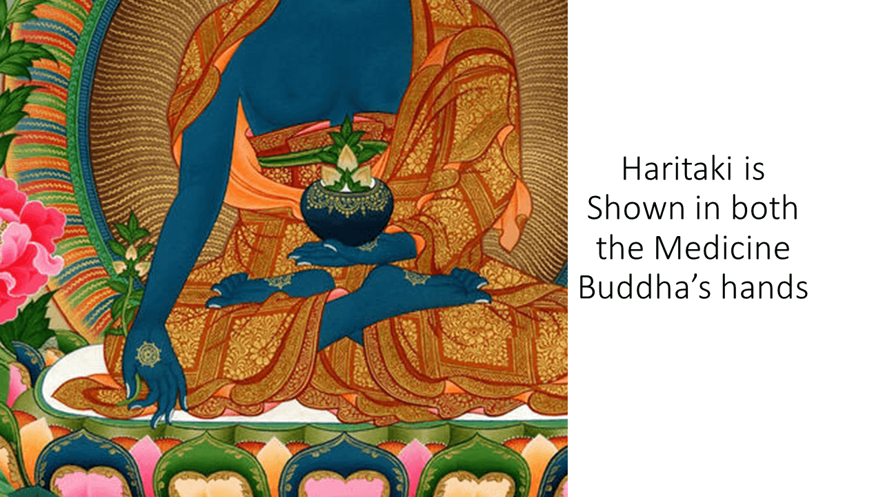 Haritaki Medicine Buddha