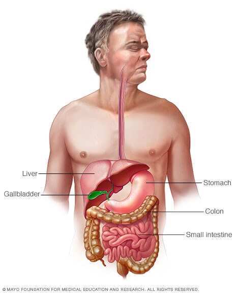 Haritaki helps indigestion diagram 